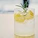 TALCUFON Freshly Squeezed Lemon Powder 10 Oz, Just Cold Pressed, Freeze Dried Lemon Juice Powder No Added Sugar, Gluten Free, Non-GMO Great Flavor for Drinks, Smoothie, & Beverages 284G