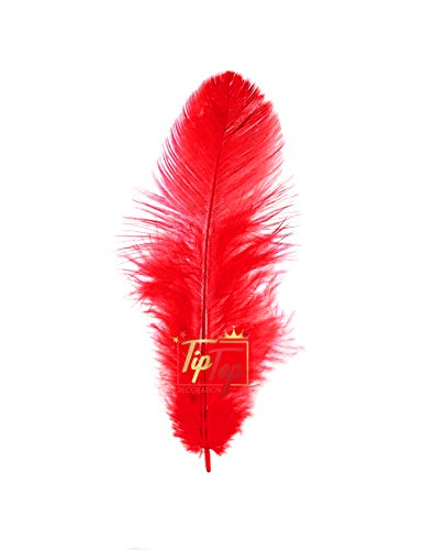 Image of Natural Dyed Feathers 10 cm (80 pieces) (Dark Red)