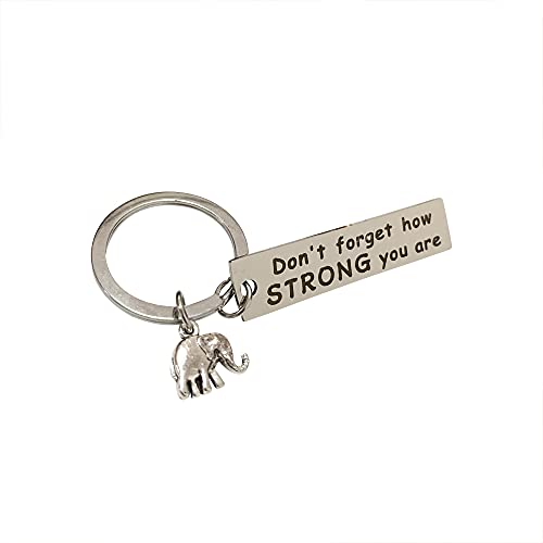 Pirhosigma Porte-clés d'amitié en forme d'éléphant Cover