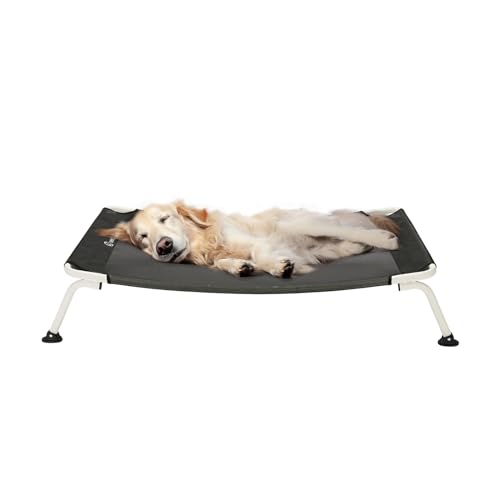 outdoor dog beds