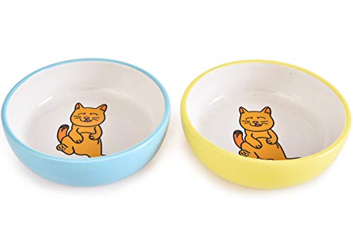cat dishes ceramic