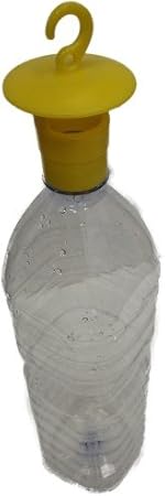 foto trappole per formiche