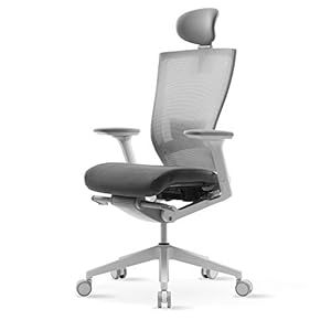 SIDIZ T50 ergonomische draaibare stoel (TNB500HLDA): gebogen rugleuning met mesh-invulling, verstelbare hoofdsteun, verstelbare lendensteun, 3D-armleuningen, zitglij/helling (grijze stoffen zitplaats)