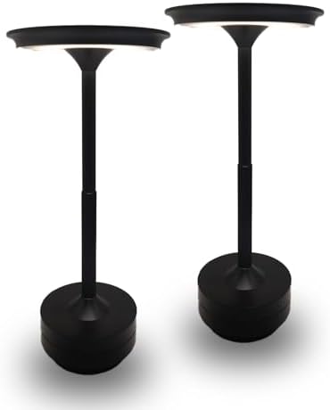 Cordless Rechargeable LED Table Lamp, 11.5 inches Modern Portable...
