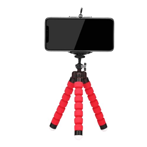 FineGood X}zOr ჌t ˂ˎOr B tLVu Or ^тɕ֗ ^y ~jOr gѓdb/fWJ/rfI J/vWFN^[ ()