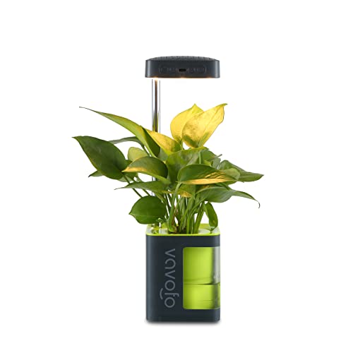 VAVOFO Plant Light for Indoor Plants Rechargeable Mini Grow Light with Planter, Full Spectrum, Height Adjustable, Automatic Timer, DIY Various Small Planting,Green