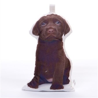 cale-Portes très Mignon pour Animal Domestique, Chiens, Chats, Chiots Cadeau idéal pour Les Amateurs de Chats ou Accessoire de Maison