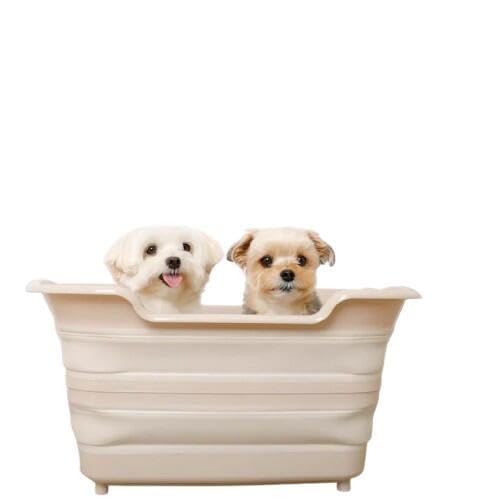 moncheri VF [܂肽ݎybgoX]  ^ (FREE/x[W) 킢  lC uh gCv[h `