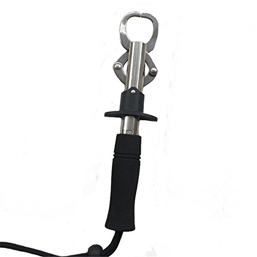 TOPIND Professional Stainless Fishing Steel Straight Clip Fish Stock Shape