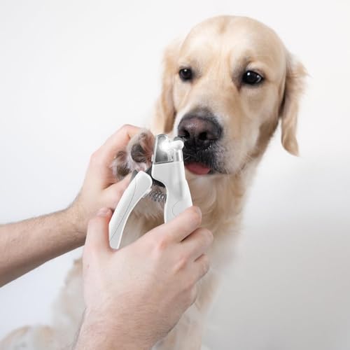 GOMETY Profi LED Hunde & Katzen Nagelknipser: Ergonomischer Griff, Sicherheitsverriegelung, für Mittlere & Kleine Haustiere (Transparent/Silber)