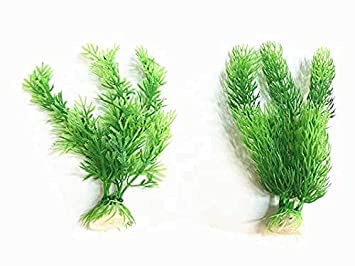 KAPOOR ENTERPRISE Plastic Aquarium Water Plants/Aquatic Grass, 2 Pieces, Green 4 inch Hight (B09Y1ZZSW2) Amazon Price History, Amazon Price Tracker