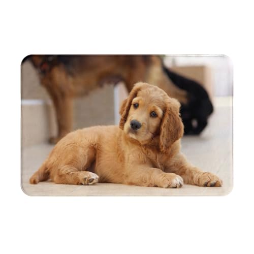 RbJ[XpjG̎q 􂦂銊~ߕtO~ ᔽ􂦂TCYO 40x60cm