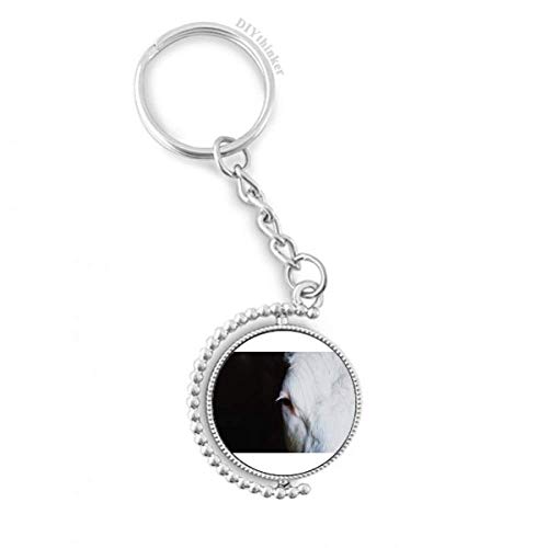 Llavero giratorio de animal terrestre con anillo y cadena para coleccionistas
