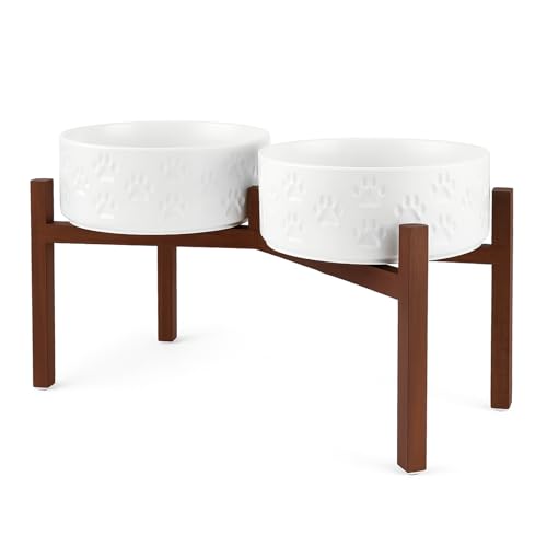 SPUNKYJUNKY Z~bNGx[ebhhbO{EZbg AJVAEbhX^ht ^pHƐp (68IXAzCgȂ)