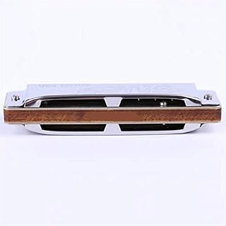 KIRANDIE Harmonica diatonique 10 Trous 20 Notes Blues Harp Key C Acier Inoxydable Instruments de Musique (Color : Key F) – Image 3