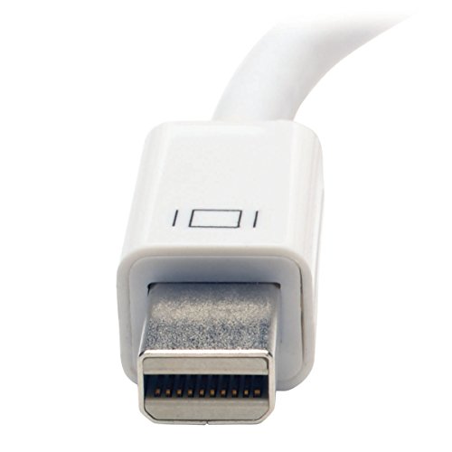 Adaptador activo Mini DisplayPort a DVI Tripp Lite 6 pulgadas miniatura 3