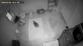 Review Image by Miranda C.