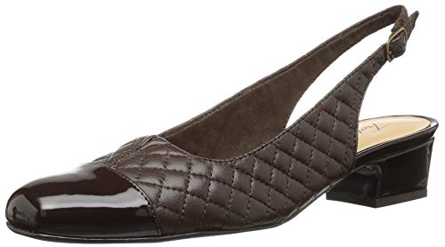 Image of Trotters