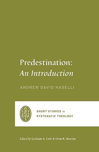 Predestination: An Introduction view 2