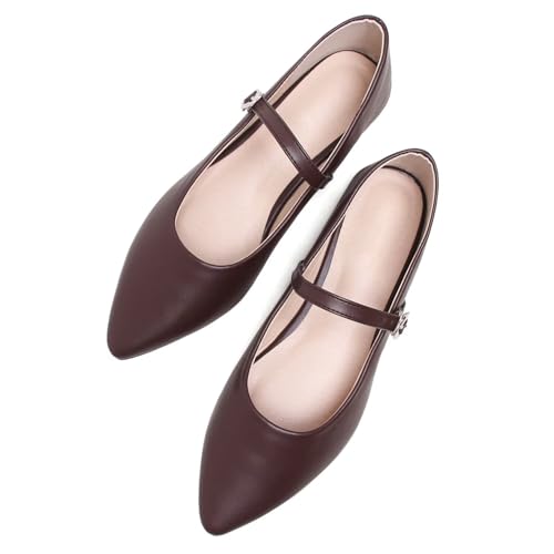 Hee grand Women's Mary Jane Shoes Ballet Flats for Women Comfortable Pointed Toe Slip On Flats Ankle Strap Flats