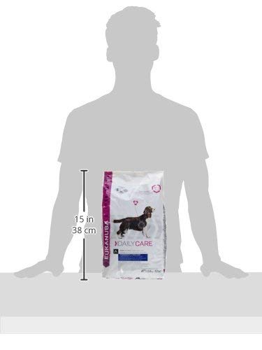 Eukanuba Daily Care Overweight / Sterilised Trockenfutter – Fettarmes Spezialfutter für übergewichtige oder kastrierte Hunde, 12,5 kg