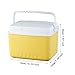 Stgfyxgs Insulated Ice Cooler Camping Case Ice Chest Box Organizer for Fishing Camping Barbecue, 5L