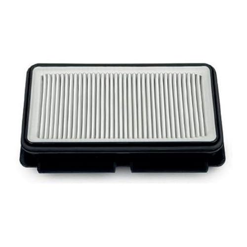 Filtre HEPA Aspirateur ZR902501 ROWENTA Aspirateur ZR902501 ROWENTA