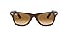 Price comparison product image Ray-Ban Unisex's Original Wayfarer Classic Sunglasses, Color Mix Tortoise with Light Brown Gradient Lenses, 50