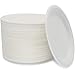 100 Biodegradable Compostable Eco Plates, 9 Inch Environmentally friendly Plant based Tree Free Disposable Sugarcane Plates, Great alternative to Paper