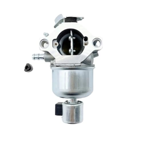 Carburateur compatible BS791889 698782 pour moteur de tondeuse