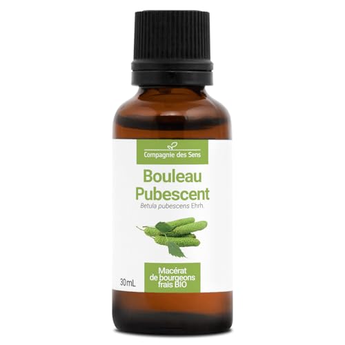 Bouleau Pubescent BIO - 30mL - (Betula Pubescens) – Macérat concentré de bourgeons frais
