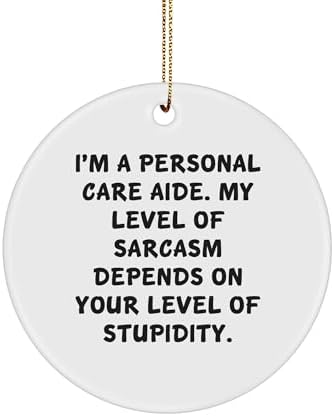 Sarcastic Personal Care Aide Circle Ornament | Funny Gifts for Personal Care Aides from Santa | Christmas Unique Gifts for Personal Care Aides with Sarcastic Quotes image 2