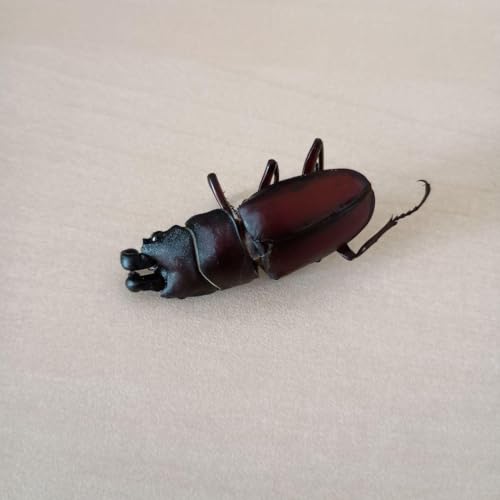 `NK^([) W{ U <1005zEW{ENK^V>