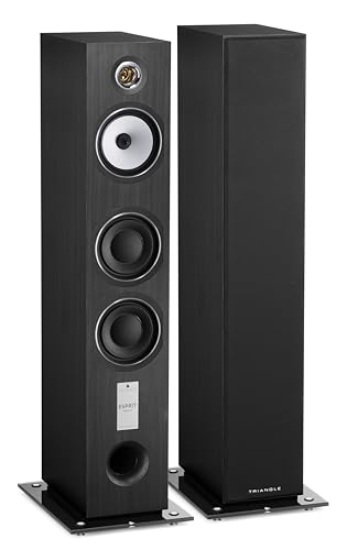 TRIANGLE - Hi-Fi-Standlautsprecher Antal EZ - Belastbarkeit 120 W - Wirkungsgrad 92 dB/W/m - Vielseitig für Musik und Heimkino - 200 x 1090 x 345 mm - Aschschwarz (Paar)