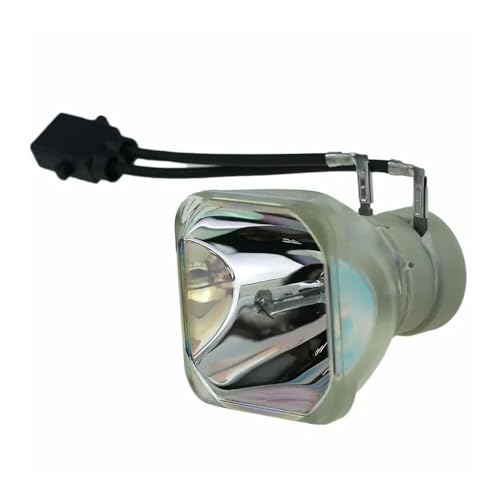 Ampoule projecteur DT01511 haute luminosité pour modèles CP-AX2503 et WX3042WN