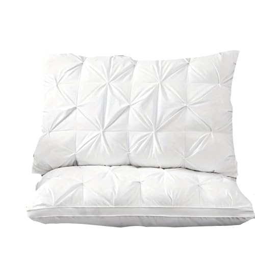 Set 2 Almohadas algodón tamaño 50.8x76.2 cm doble capa