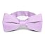 Viola Purple