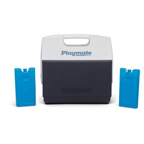 Igloo Maxcold Small Ice Block, 2-Pack, Blue - image 8