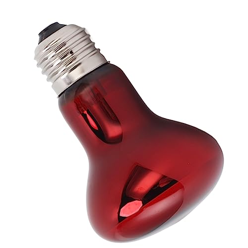 Lampadina Anfibio Crogiolarsi, Lampada Riscaldante Lampadina Rossa Efficiente a Risparmio Energetico con Produzione E27 da 220 a 240 V per Lucertola (100W)