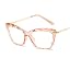 A4 Transparent Brown Frame
