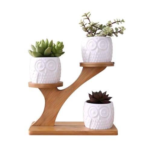 Milky Way 3 Pcs Succulent Pots Cactus Potsk Owl Succulent Plant Pot Ceramic Garden Plant Pots Mini Flower Pots with Bamboo Tray for Home Office Desk