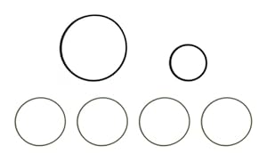 Ajusa 77088100 Dichtungssatz Ansaugkrümmer