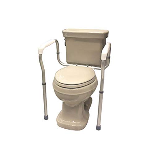 Toilet Safety Frame