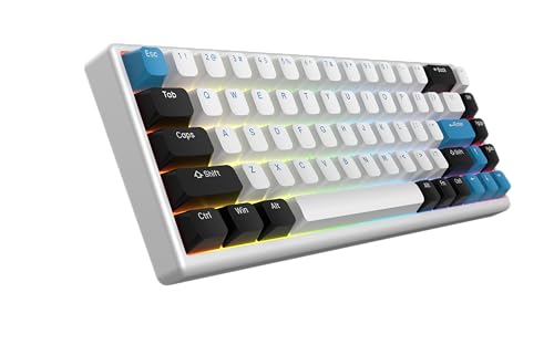 ARBITER Polar 65 - CNC Magnetic Gaming Keyboard w Rapid Trigger, Hall Effect Switches, CNC Aluminum Frame, Rapid Key, 65% Compact, Bright RGB, Dual-Shot PBT Keycaps - Kumo Blue