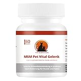 Vitalpfoten 60 MSM Pet Vital Gelenk Kapseln für Hunde und Katzen, extra klein, reich an Antioxidantien