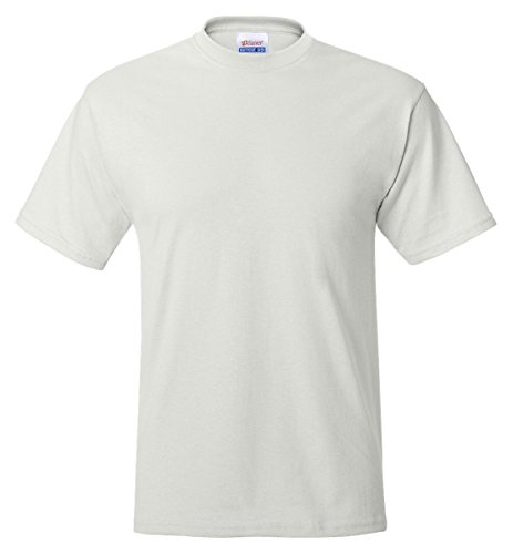 Hanes Men's ComfortBlend EcoSmart T-Shirt,White,Small,White,Small