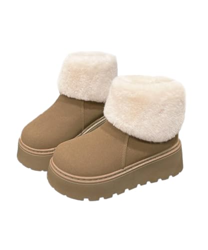 [miniministore] ꃀ[gu[c NуV[gu[ci_[Nx[WC24.0cmi38jj