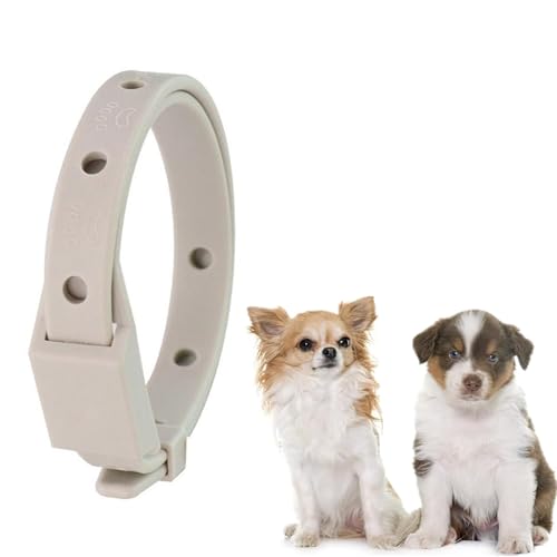 ybg L  m~ h y ʋC TCY߉\ a΍   ȒPE ybg̒ p Lpi ybgpi(1-color)