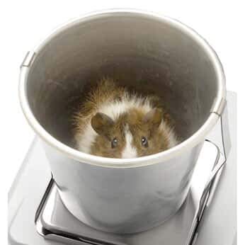 A&D Weighing GX-12 Balance Accessory Animal Pan