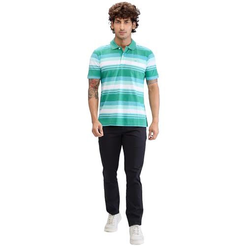 Image of Colorplus Men's Classic Fit Stripe Pattern Pure Cotton Half Sleeve Polo Neck Casual T-Shirt